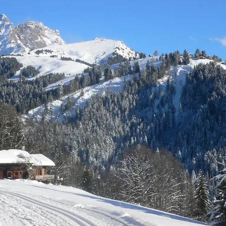 Apartment Ceremonia 1 By Interhome Villars-sur-Ollon